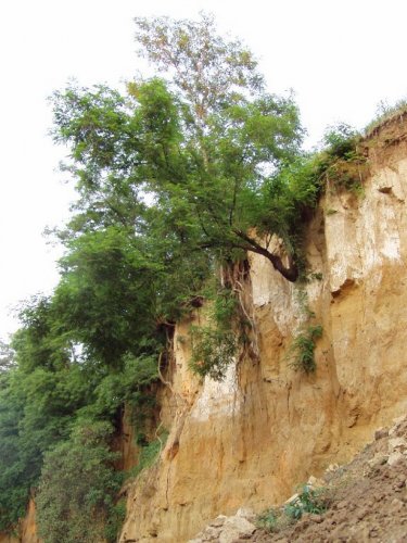 Přírodní památka Olšava - 30.8.2006